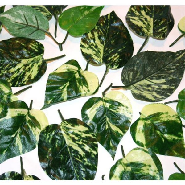 Artificial Variegated Pothos Leaves