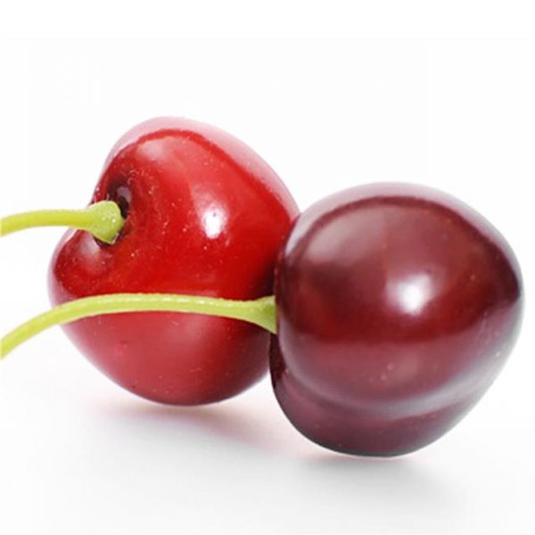 two artificial cherries with green stalks