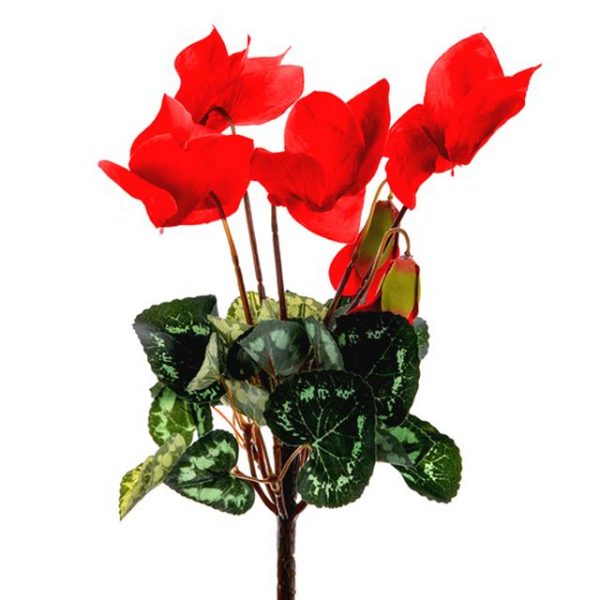 artificial cyclamen plant with red flowers