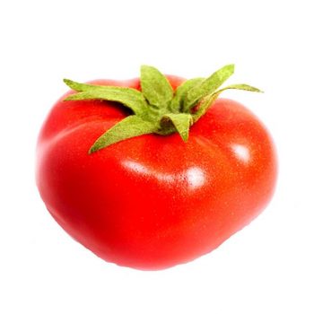 bright red artificial tomato with green foliage