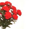 red artificial carnations