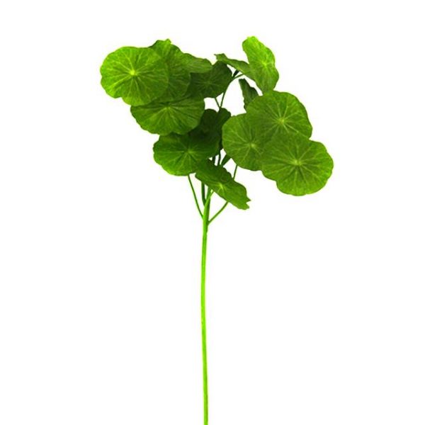 Artificial Geranium Leaf Spray