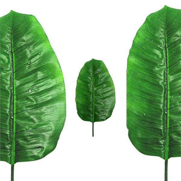 Artificial Raindrop Banana Leaf