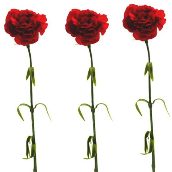 Artificial Red Carnation Stem