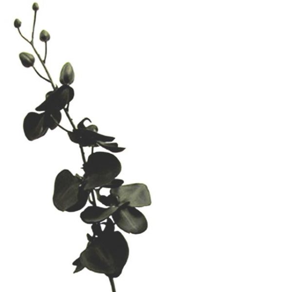 Artificial Silk Black Orchid Stem