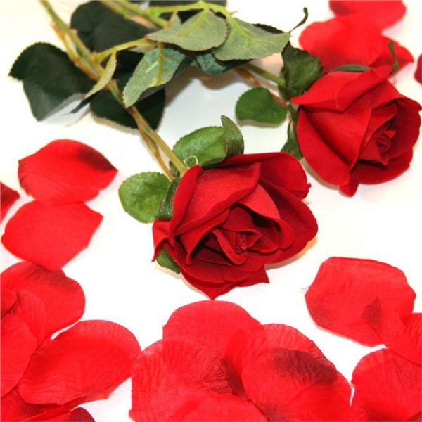deep red silk rose petals