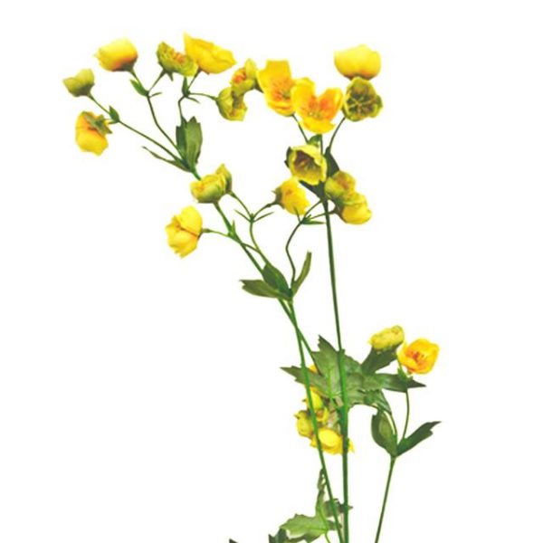 3 artificial buttercup sprays | 3 gorgeous stems | Shelf Edge UK