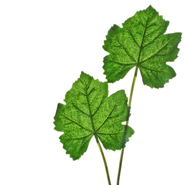 Artificial Vine Twin Leaf