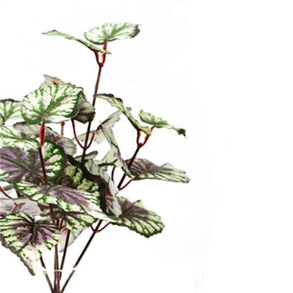 Artificial Begonia Plant