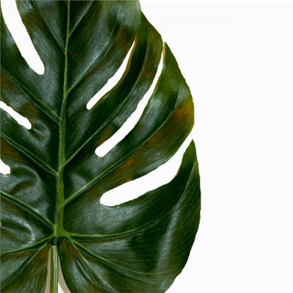 close up of a fake Swiss cheese plant leaf