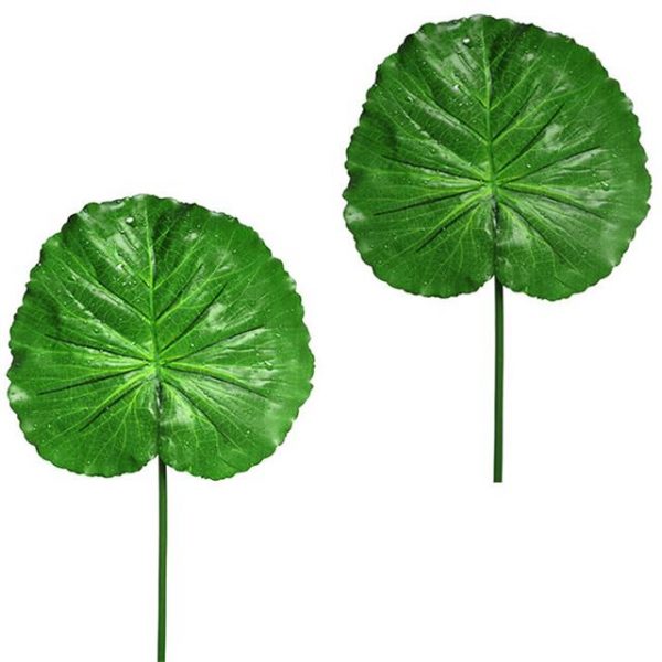 Artificial Raindrop Lotus Leaf