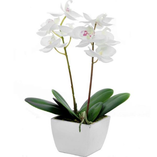 This Artificial Potted Purple Orchid with gorgeous fuschia-coloured silk flowers and green leaf foliage comes in a stylish white pot planter.