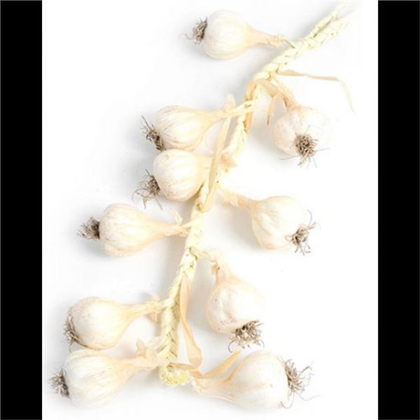 artificial garlic string