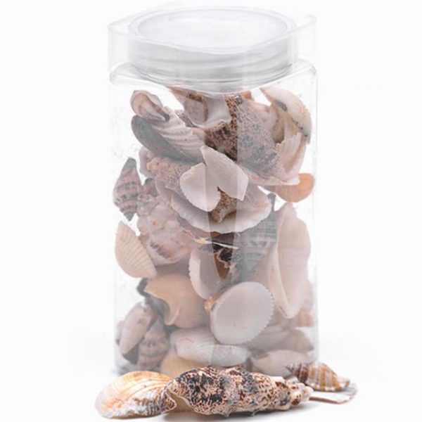 bottle of mixed decorative seashells