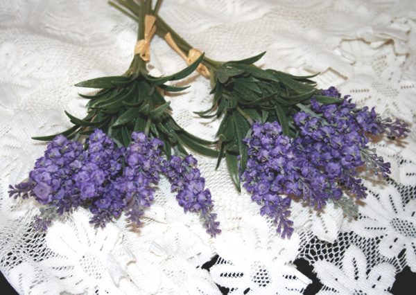 Lavender in Bloom Bundle