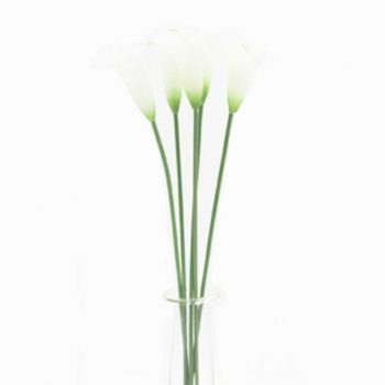 Artificial Calla Lily Bundle | 5 fake lily stems | Shelf Edge UK