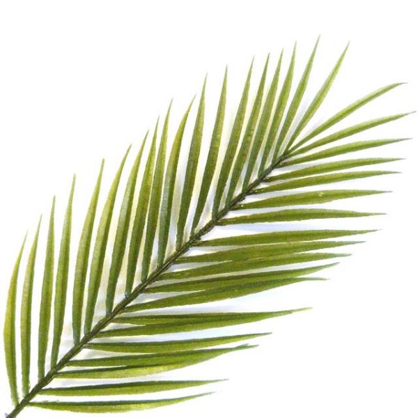 Artificial Kentia Palm Leaf