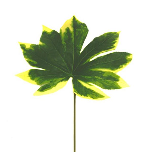 Artificial Variegated Aralia Leaf