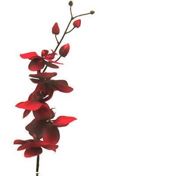 Artificial Blood Red Orchid