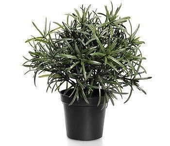 artificial rosemary plant in black planter