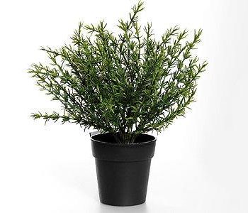 potted artificial thyme plant