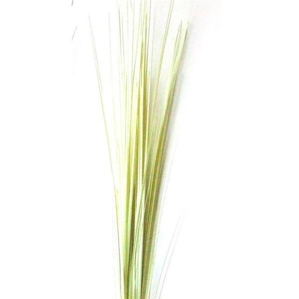 Artificial Cream Onion Grass
