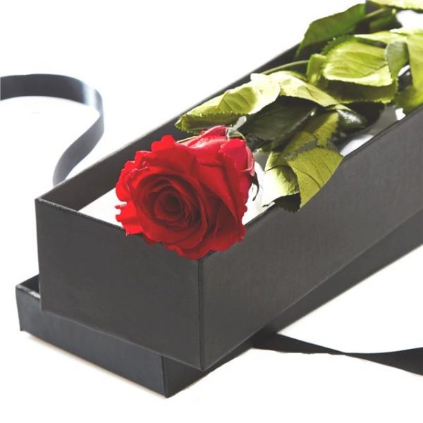 single artificial rose in a black satin lined box