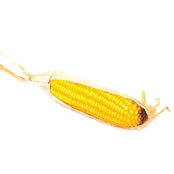 artificial corn on the cob