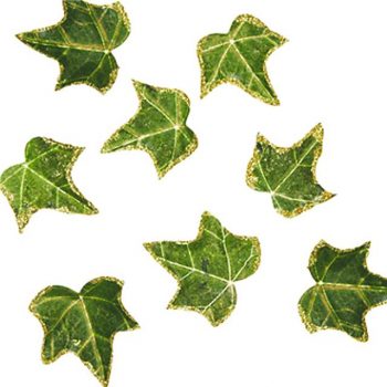 Glitter Edged Ivy Leaves