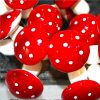 red-and-white-artificial-mushroom-picks