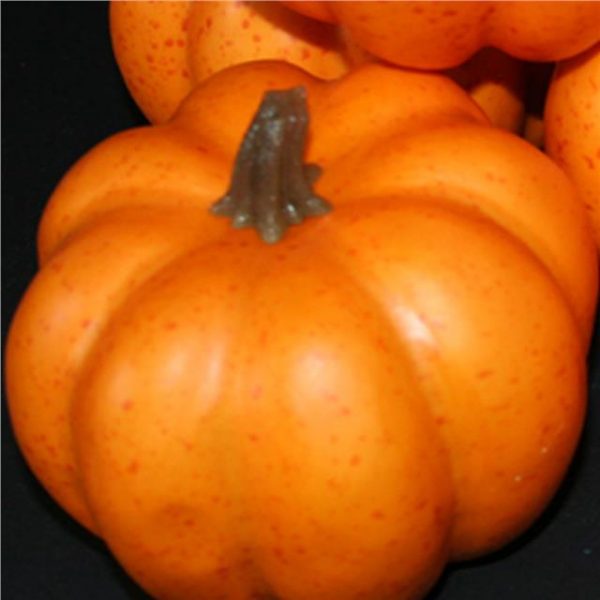small artificial pumpkin with realistic touch