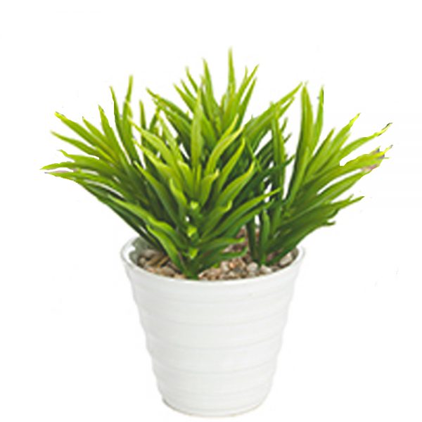 artificial succulent in pot