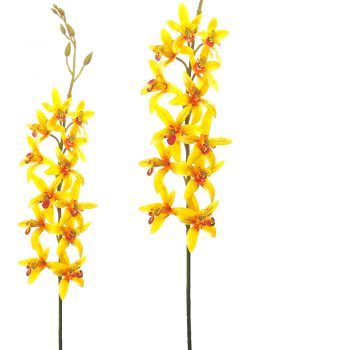 yellow artificial orchid stems