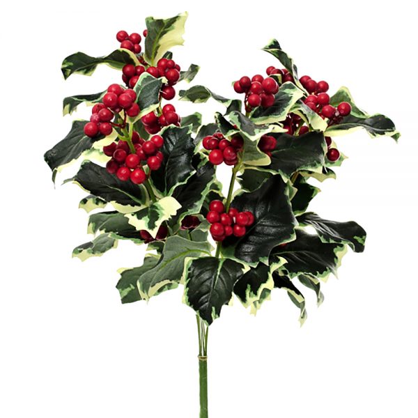 fake holly bush with variegated leaves
