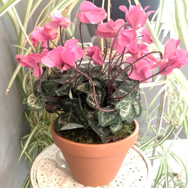 Artificial Potted Pink Cyclamen Plant