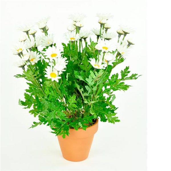 Artificial Potted Daisy Plant