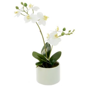 potted white artificial orchid