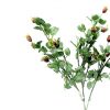 frosted rose hip spray
