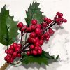 artificial green holly and frosted red berry picks