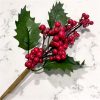 green holly and frosted red berry picks