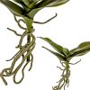 fake orchid leaves with roots