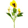 yellow pansy stem