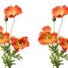 two sets of artificial orange poppies