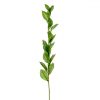 65 cm artificial ruscus stem with green leaves