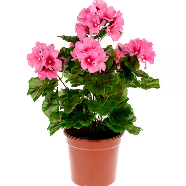 potted artificial pink geranium