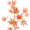 orange artificial Japanese maple leaf spray