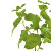 green artificial basil leaves