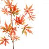 bright artificial Japanese maple leaf spray