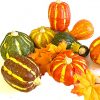 eight assorted artificial pumpkins
