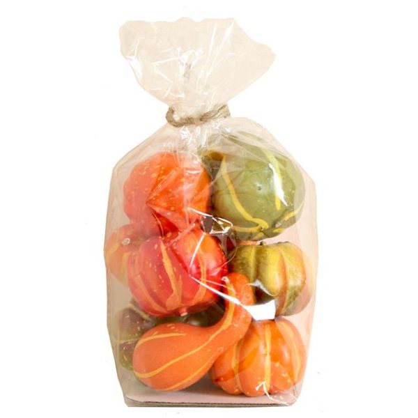 assorted artificial pumpkins in a clear bag